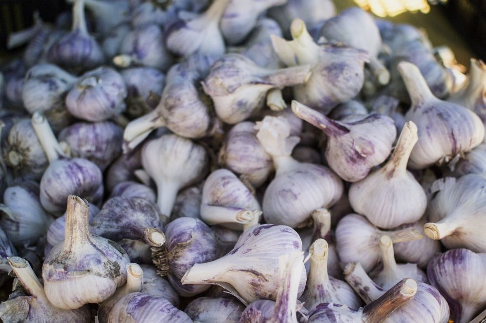 Ekologisk gurkmeja: En översikt över en hälsosam krydda